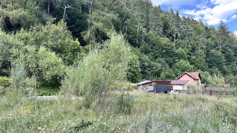 Teren intravilan cu PUZ 4000  mp -Sacele  - Bradet - 16