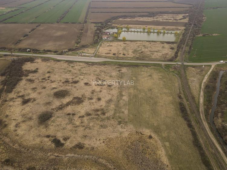 Teren extravilan in Ineu - 10