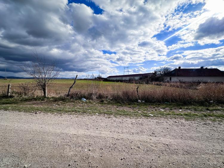 Teren Halchiu 5000 mp cu utilitati si puz