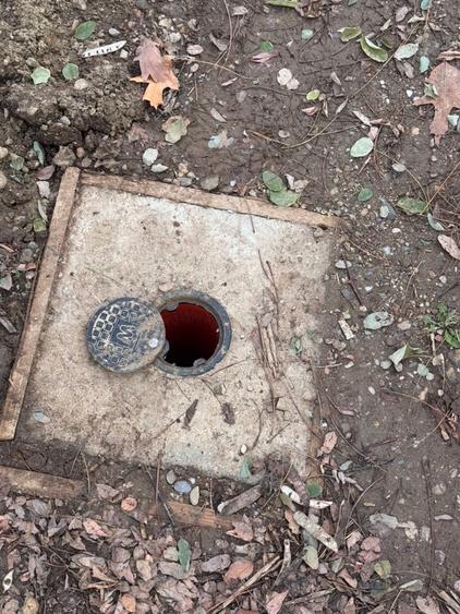 Snagov /Terenuri Parcelate langa Padure cu Utilitati/ Canalizare/ 500-2500 Mp