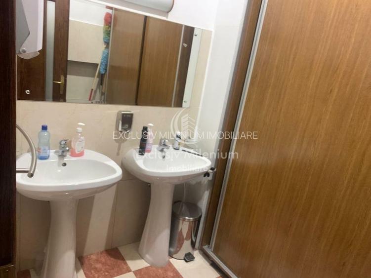 Birouri Cismigiu  /Calea Victoriei - 11