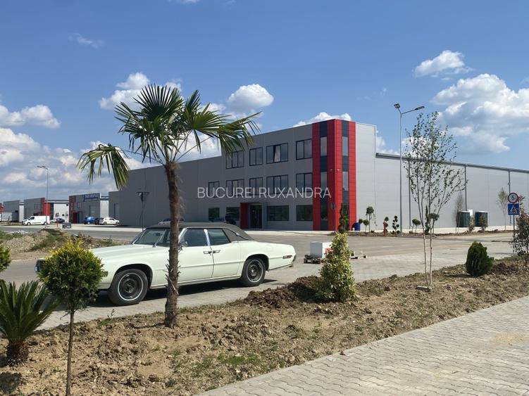 Proprietar Hala cu rampa de inchiriat 593mp Parc TBM centura Chiajna Chitila  - 3