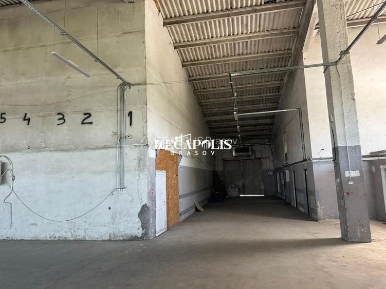 Hala Brintex str.Bazaltului / 5 euro mp - 12