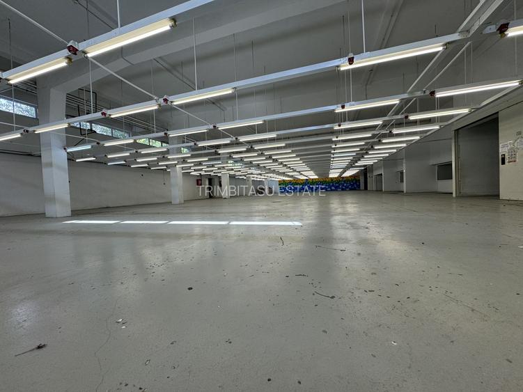 Hala productie P+1 si apartament de serviciu Navodari - c-tie beton - 4