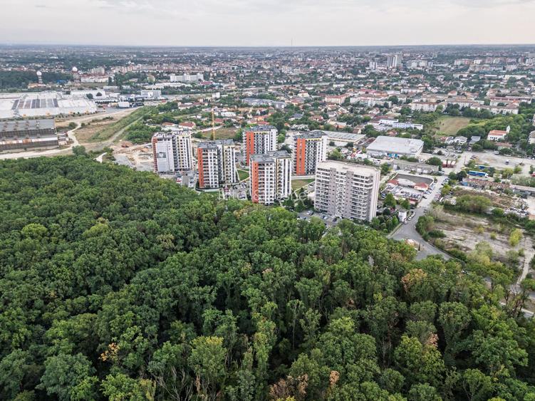 3 camere, pădure, Ready to Move - 13