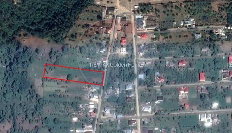 Teren intravilan  7370 mp in comuna Mera - 2