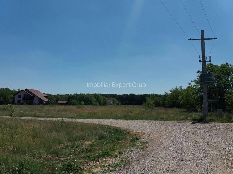 Teren intravilan inconjurat de padure, Ciofliceni, Snagov, comision 0 - 6