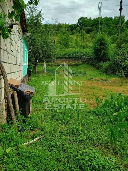 Casa batraneasca de vanzare, 4 camere, in Hunedoara, sat Micanesti - 37