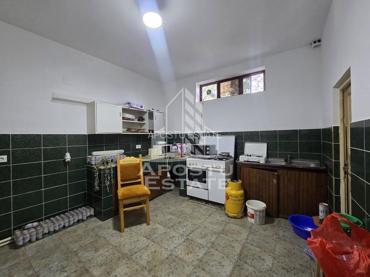 Casa de vanzare, potential pensiune, pe malul Timisului,Sag,comision 0 - 17