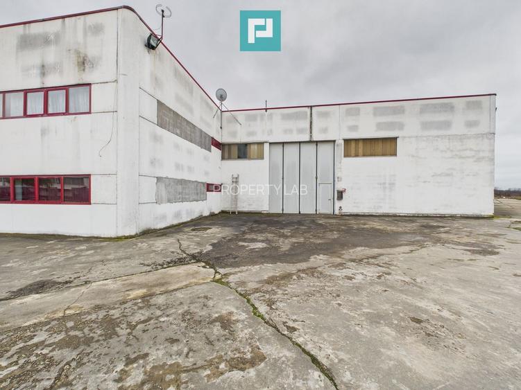 Hală de producție, cu birouri și teren, în Sebiș - 50