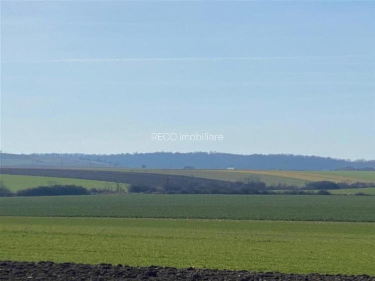 RECO Teren  pentru investitie  4ha Tauteu-Zona Autostrazii Transilvania - 4