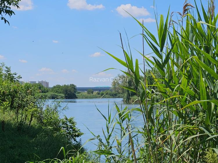 Teren de vanzare pe malul lacului in Stefanestii de Jos - 4