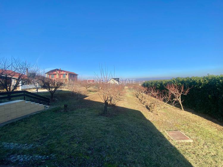 2 Case in regim P+M cu 9 camere, 3 băi, teren 1811mp, front 30m, Paleu - 15