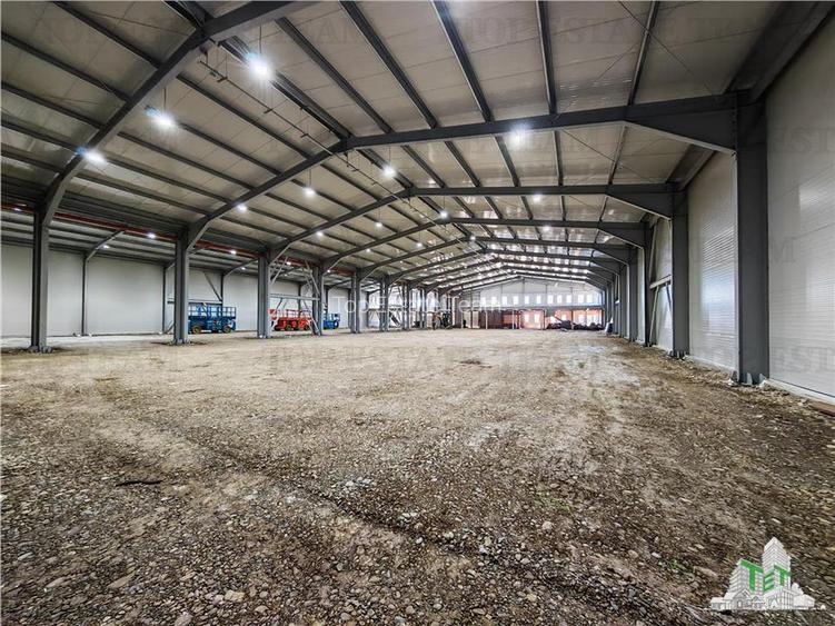 Hala Industriala Balotesti - Spatiu Generos si Accesibilitate Excelenta - 10