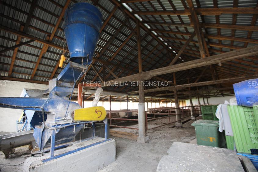 Abator complet functional cu grajduri pentru animale in Bod Colonie - 3