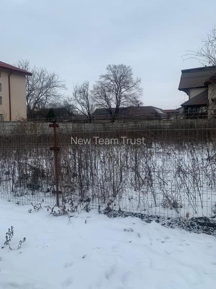 Voluntari  Pipera  Matei Millo  Vanzare  Loturi   teren   intravilan - 8