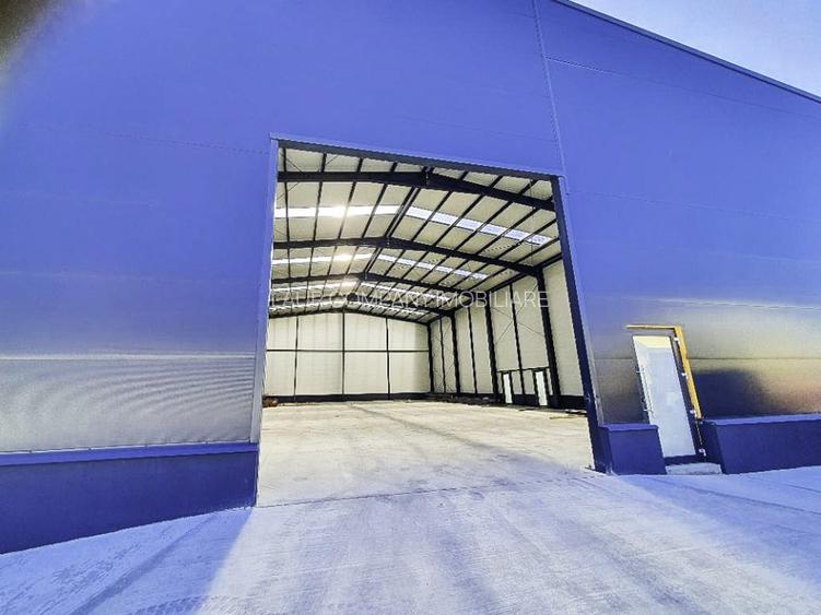 Spatiu  Industrial  Hala Pitesti - 9