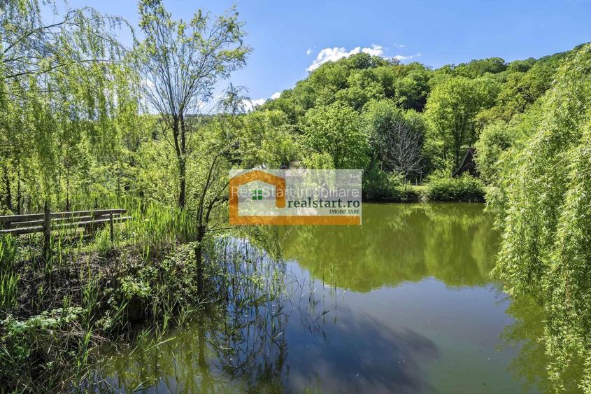 Oportunitate, Restaurant cu MiniPensiune 800mp, 1,8ha teren, Via Transilvanica - 58
