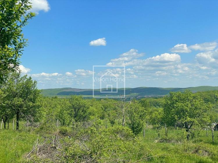 Teren intravilan cu priveliste superba in zona Sibiel - 6