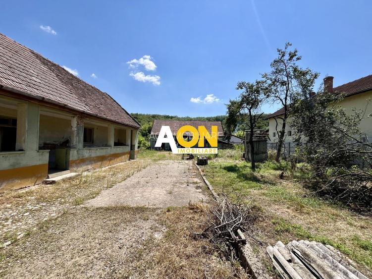 Teren Împrejmuit, 3514mp, Asfalt, Ciugud - 6