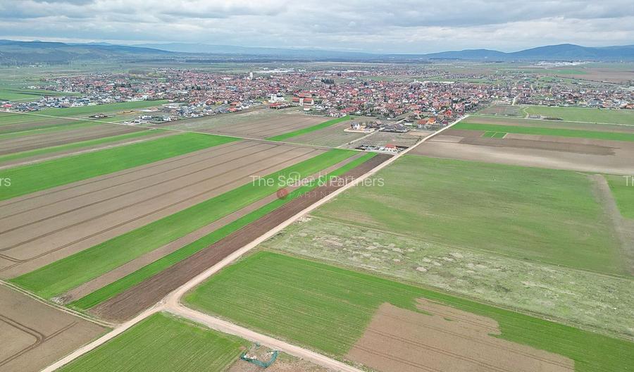 Teren intravilan - 11