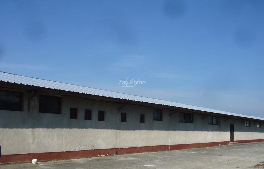 Hala + teren de vanzare! Toate utilitatile. - 3