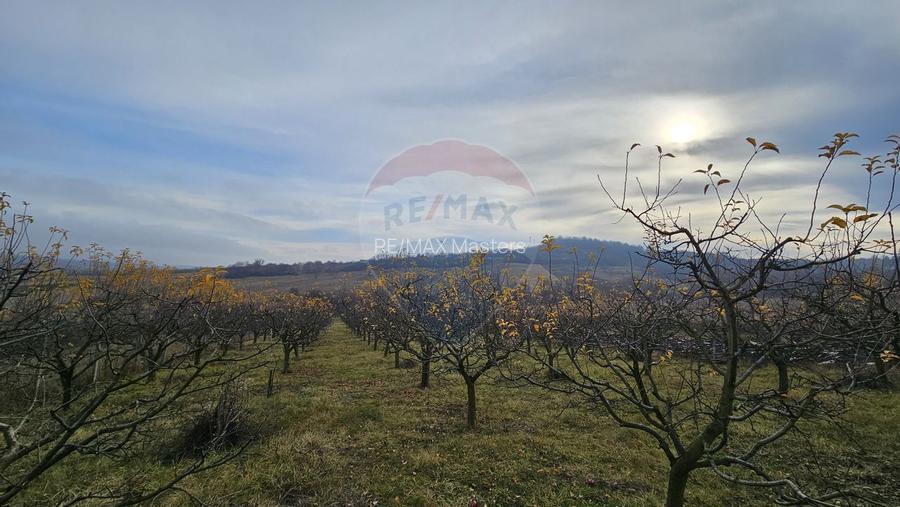 Teren extravilan 10,791mp Falticeni / Strada DJ209A, Opriseni - 7