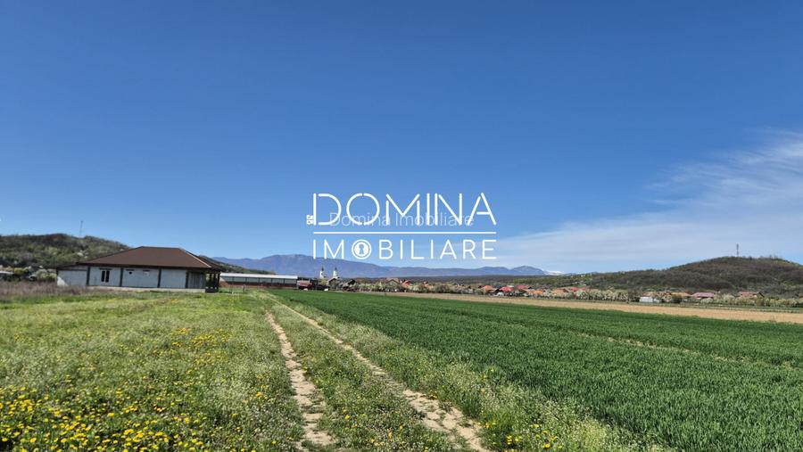 Vânzare loturi teren intravilan 520 mp - Sat Ceauru - la 10 km de Târgu Jiu - 8