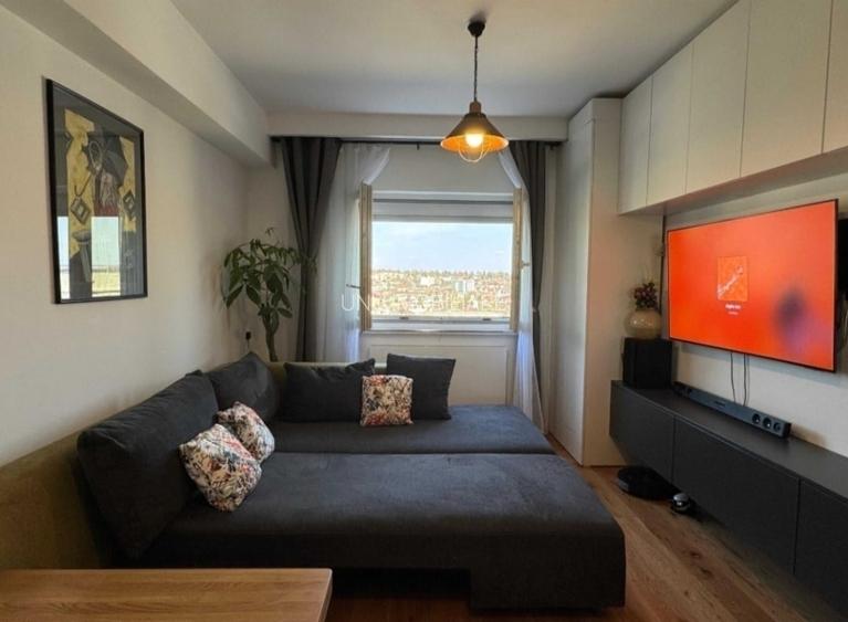 Targu Cucu-Independentei-1 Camera-Renovat-ideal investitie - 5