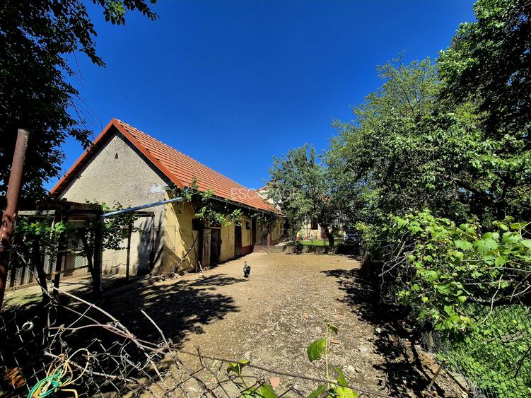 Casa de poveste, incarcata de traditie si istorie, Vad - Fagaras - 22