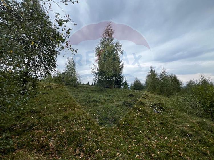 Teren extravilan parcelabil Călățele Pădure, zona Dealu Negru - 3