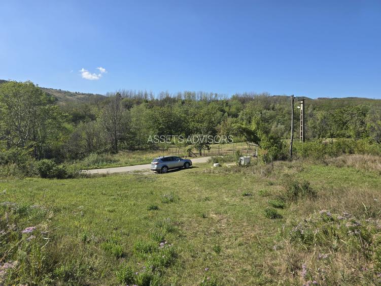 Oportunitate Investitie - Teren Intravilan Zona Viticola - 4