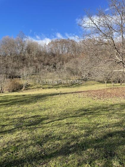 Mihaesti - Sat Draghici, teren intravilan, cu o suprafață generoasă de 7.280 mp - 5