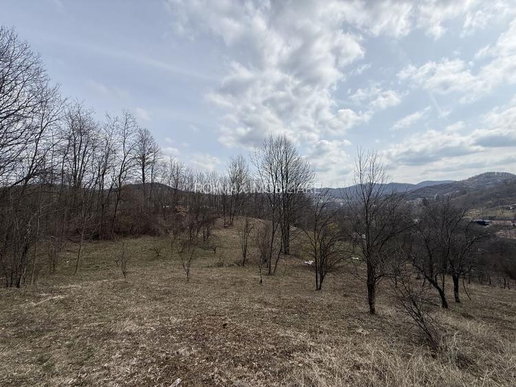 Teren 6040 mp la baza pădurii deschidere 40 ml - 8