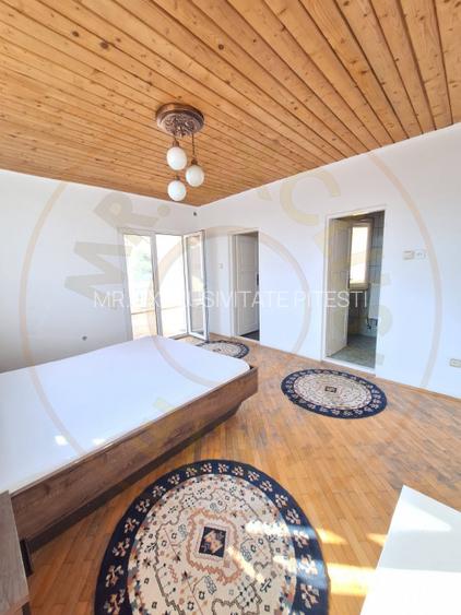 Casa Pitesti Exercitiu zona centrala - 14