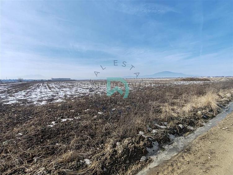 Vanzare teren intravila industrial, 10480 mp, centura Brasov - 5