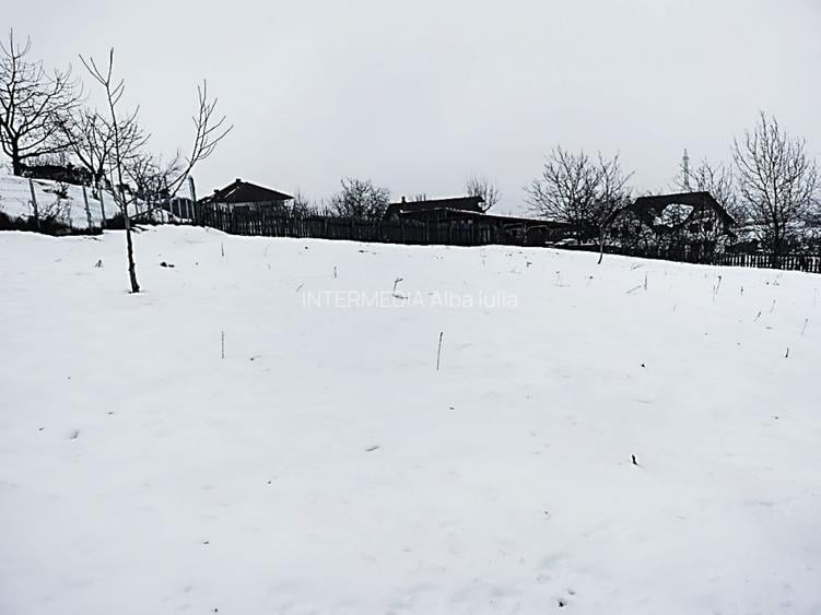 1400 mp. Deschidere 38 m Teren Intravilan CETATE Valea Popii utilitatile langa - 6