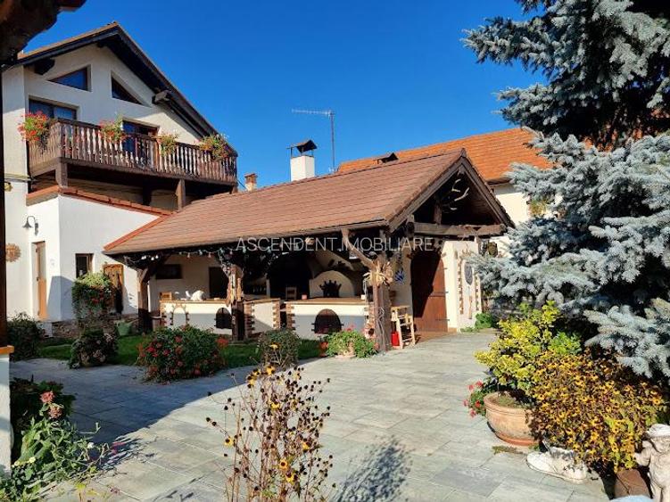 Hotel Bielmann,unicitate si profitabilitate optima in turism,Sanpetru, Brasov - 59