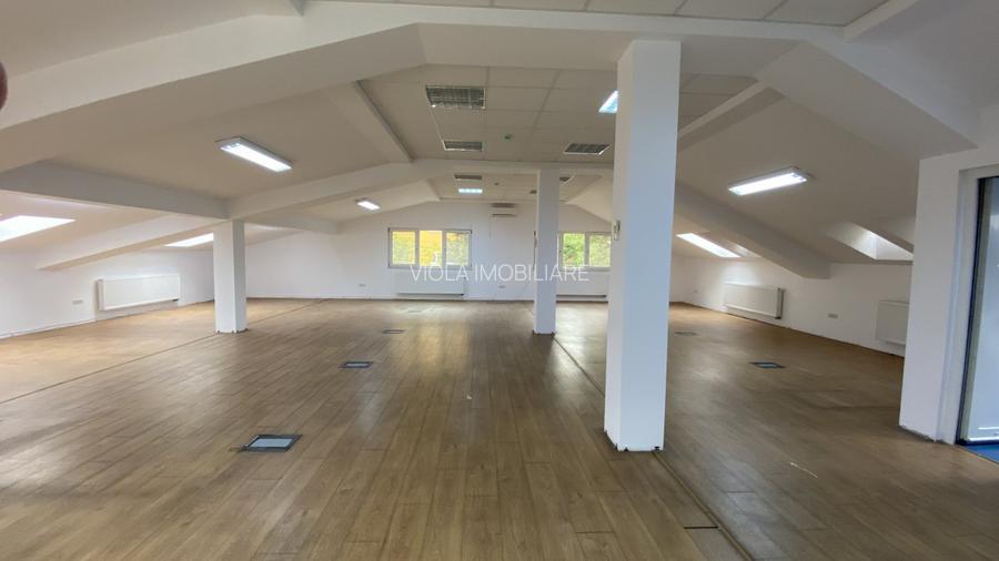 De inchiriat vila zona Take Ionescu,ISHO - 17