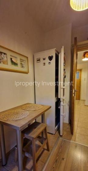 Dristor - ParkLake | 2 Camere | Decomandat | Balcon | AC | Parc - 5