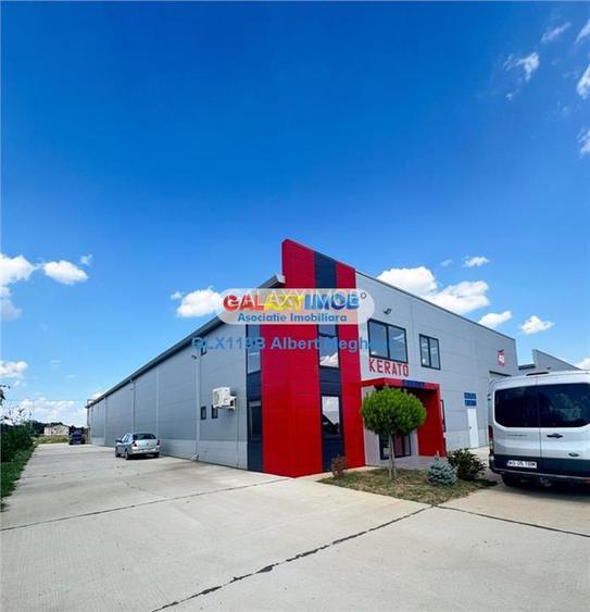 Inchiriere hala depozitare Parc Industrial TBM Rudeni - 8