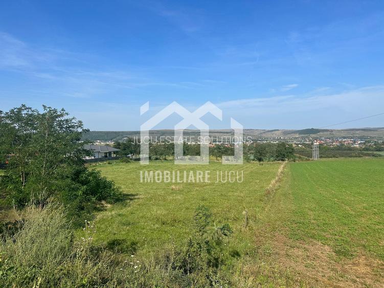 Teren Intravilan 2900mp PUZ in Lucru - Jucu de Sus - 7