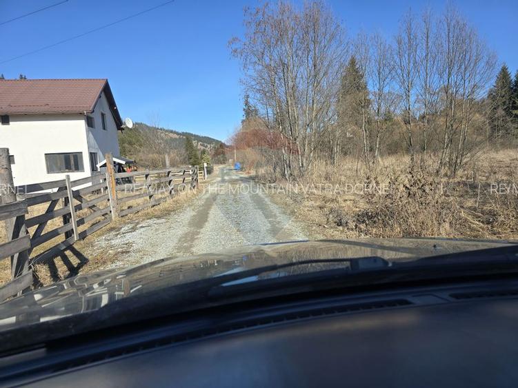 Teren 3,135mp Dorna-Arini / Drumul GURA NEGRI - 2