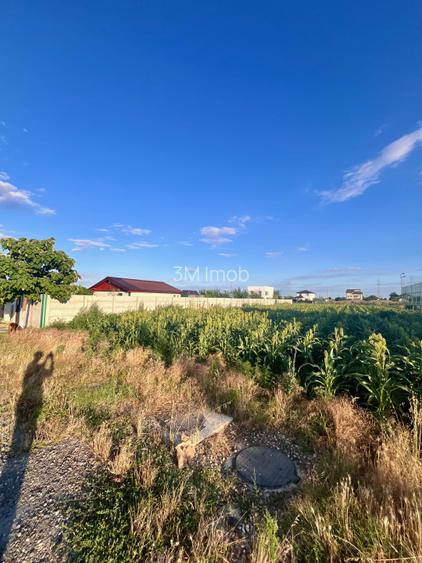 Teren de vanzare intravilan - sat Islaz Comuna Branesti - toate utilitatile - 5