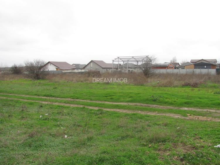 Cornetu - Crizantemelor, Stradal - 10