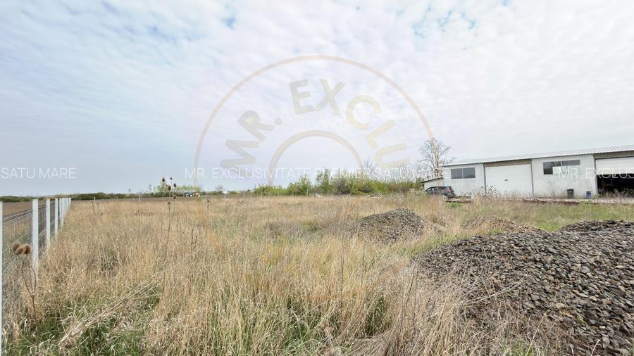 Teren Intravilan 1300 mp / Extravilan 3.700 mp/ DJ 196B Carei (DN 1F) – Foieni - 2