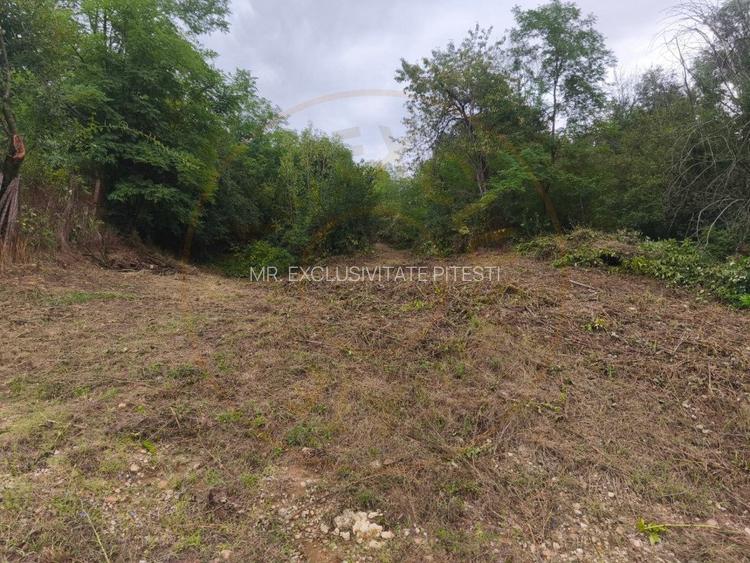 Teren 2552 mp, panorama superba Mosoaia Hintesti -Strada  Basangesti - 2