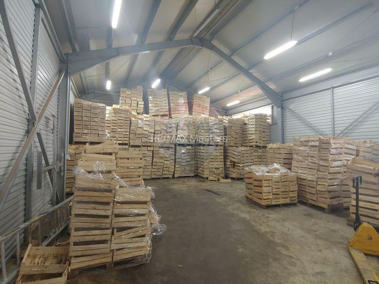 Spațiu industrial-depozit de 292mp de închiriat in Dumbraveni, SV - 5