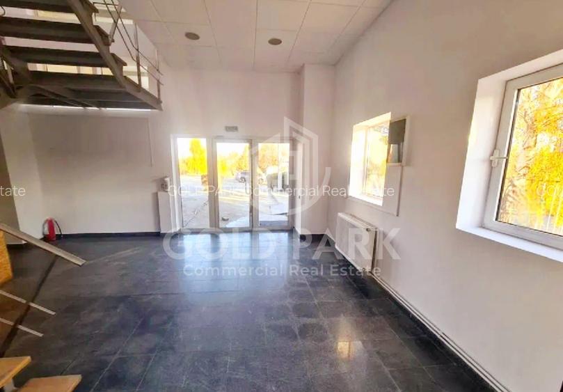 Sp. Industrial -Zona Someseni - Transformator/Pod Rulant/Luminatoare - 6