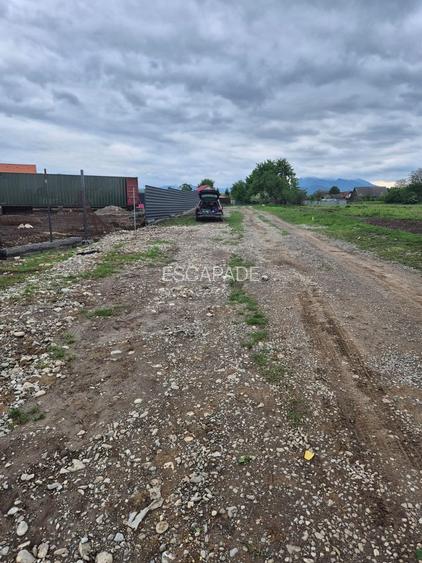 Teren intravilan 1450 mp – Carpiniș , Ideal pentru casă de locuit - 4